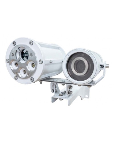 Извещатель пожарный пламени взрывозащищённый Спектрон-901-Exd-А-В-IP-HART в Калининграде Пожарные извещатели Pintop.ru