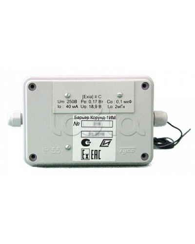 Барьер разделительный Специнформатика-СИ «Барьер КОРУНД 1ИМ» в Калининграде Дополнительное оборудование для ОПС Pintop.ru