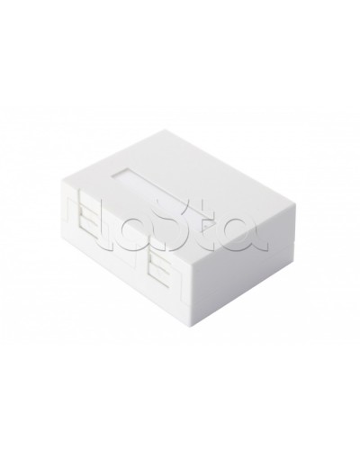 Настенная коробка 2-портовая со шторками, белый Eurolan (12B-04-02WT-2) в Калининграде Розетки компьютерные и телефонные Pintop.ru