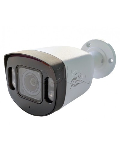 IP-камера видеонаблюдения в стандартном исполнении Fox FX-IPC-C40AP-IR H.265 AI в Калининграде IP-камеры Pintop.ru